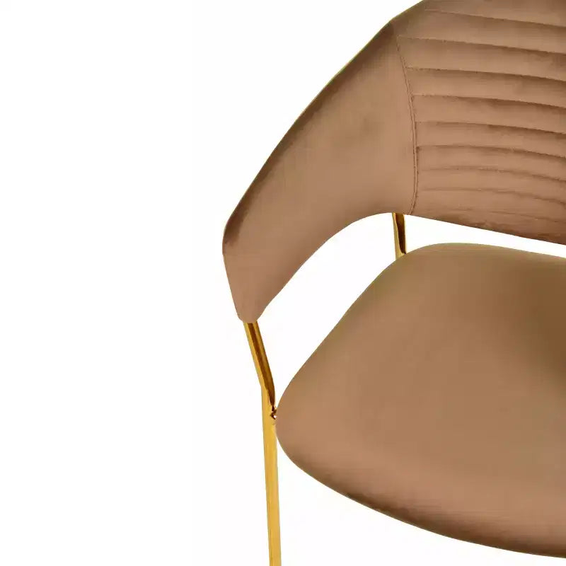 Sedia da pranzo imbottita con schienale a gobba e gambe in acciaio inossidabile – Set da 2