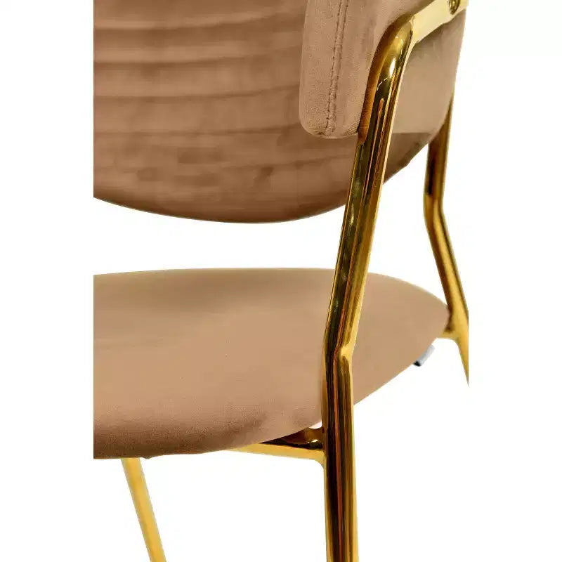 Sedia da pranzo imbottita con schienale a gobba e gambe in acciaio inossidabile – Set da 2