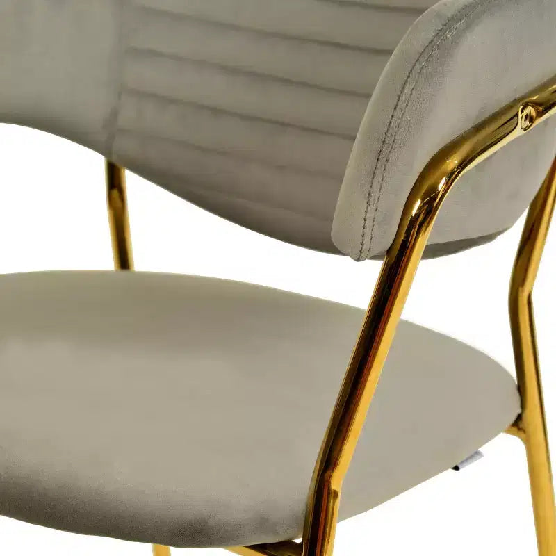 Sedia da pranzo imbottita con schienale a gobba e gambe in acciaio inossidabile – Set da 2
