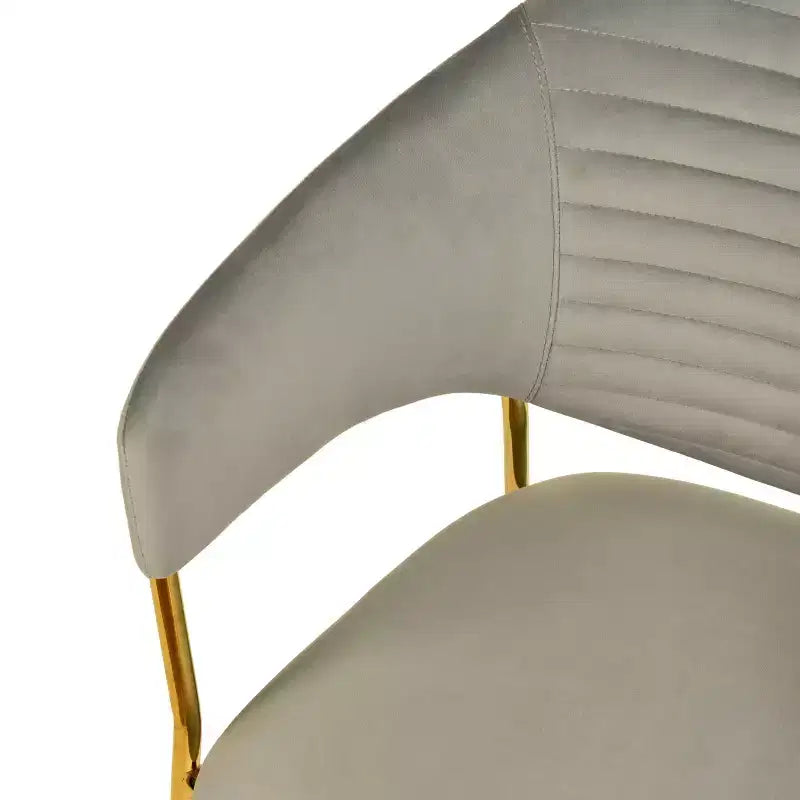 Sedia da pranzo imbottita con schienale a gobba e gambe in acciaio inossidabile – Set da 2