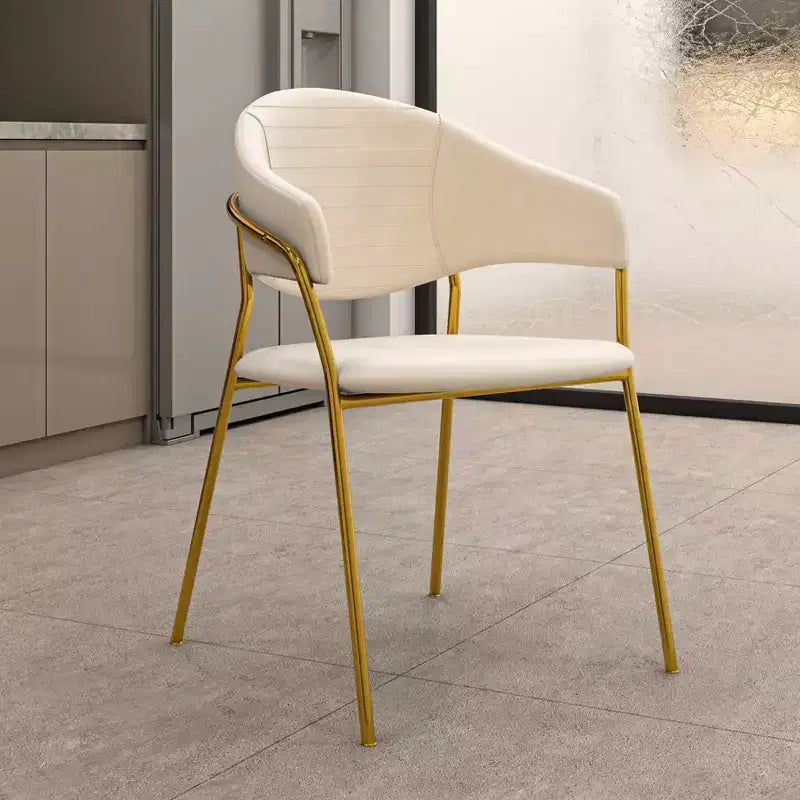 Sedia da pranzo imbottita con schienale a gobba e gambe in acciaio inossidabile – Set da 2