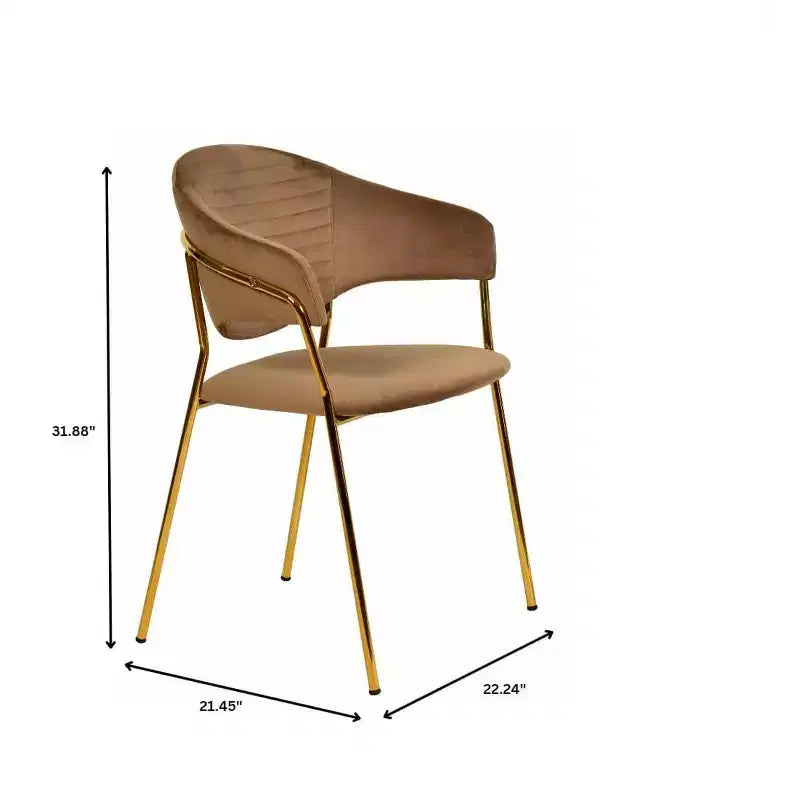 Sedia da pranzo imbottita con schienale a gobba e gambe in acciaio inossidabile – Set da 2