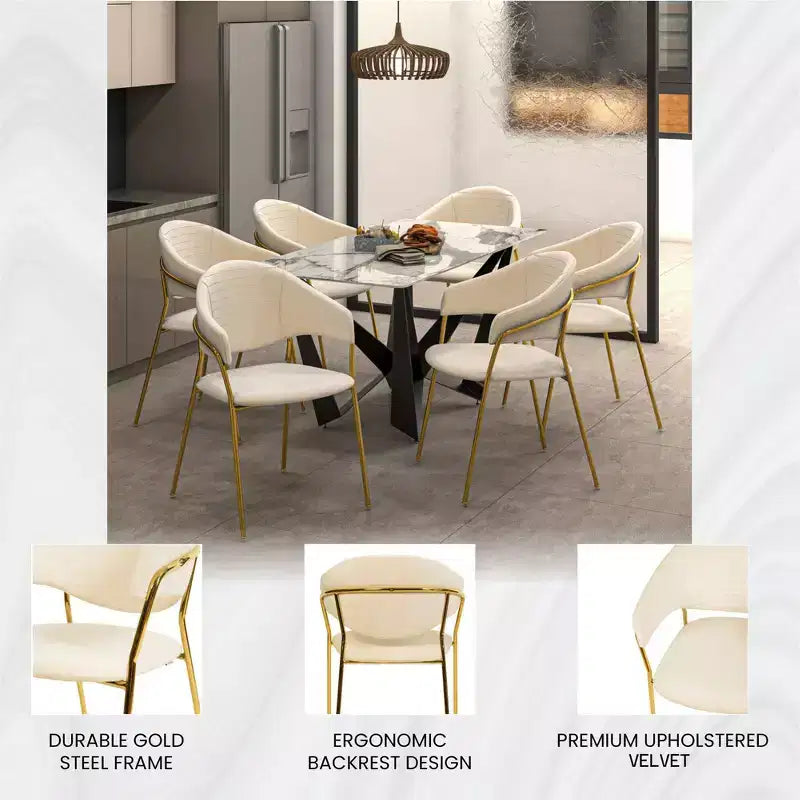 Sedia da pranzo imbottita con schienale a gobba e gambe in acciaio inossidabile – Set da 2