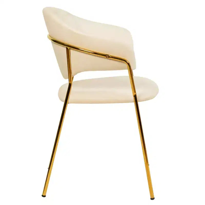 Sedia da pranzo imbottita con schienale a gobba e gambe in acciaio inossidabile – Set da 2