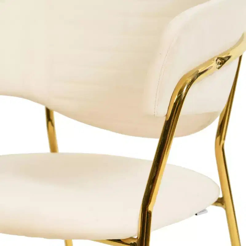 Sedia da pranzo imbottita con schienale a gobba e gambe in acciaio inossidabile – Set da 2