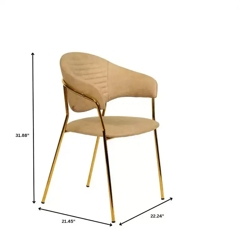 Sedia da pranzo imbottita con schienale a gobba e gambe in acciaio inossidabile – Set da 2