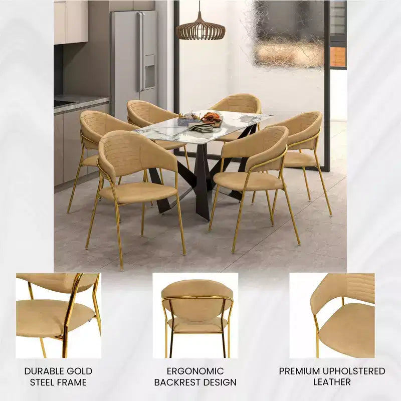 Sedia da pranzo imbottita con schienale a gobba e gambe in acciaio inossidabile – Set da 2
