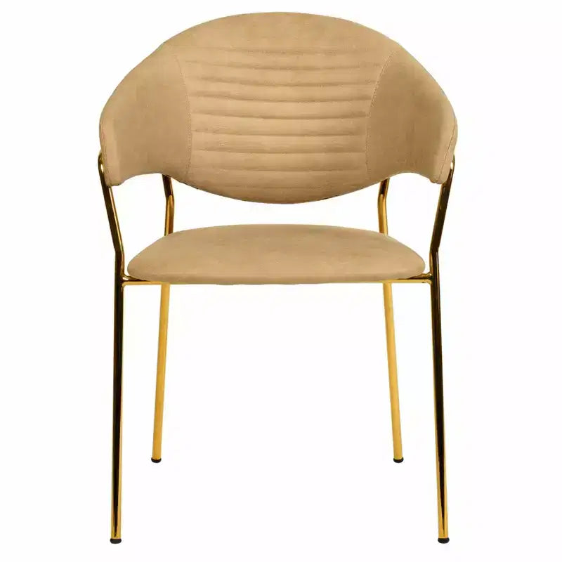 Sedia da pranzo imbottita con schienale a gobba e gambe in acciaio inossidabile – Set da 2