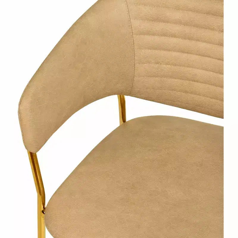 Sedia da pranzo imbottita con schienale a gobba e gambe in acciaio inossidabile – Set da 2