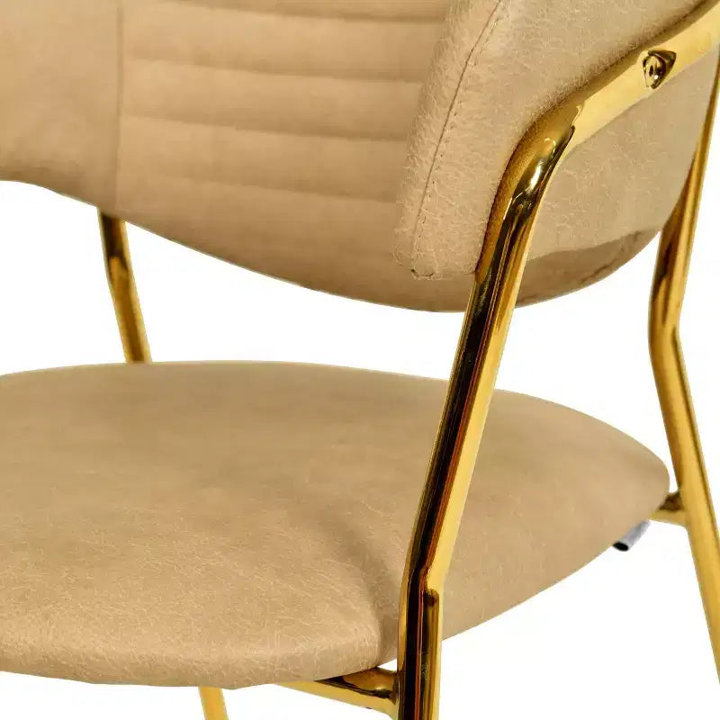 Sedia da pranzo imbottita con schienale a gobba e gambe in acciaio inossidabile – Set da 2