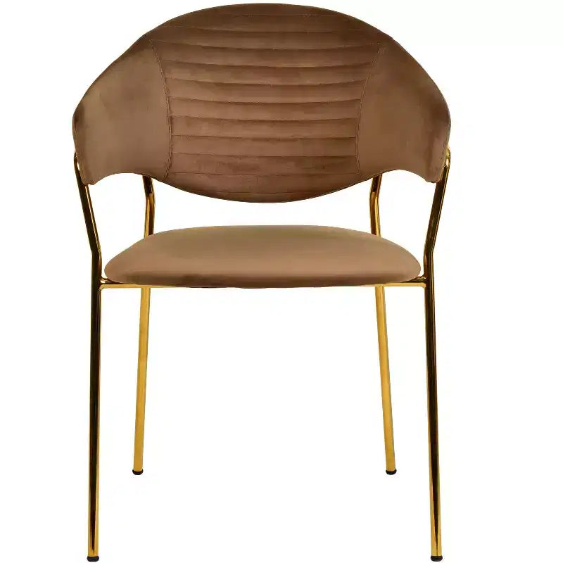 Sedia da pranzo imbottita con schienale a gobba e gambe in acciaio inossidabile – Set da 2