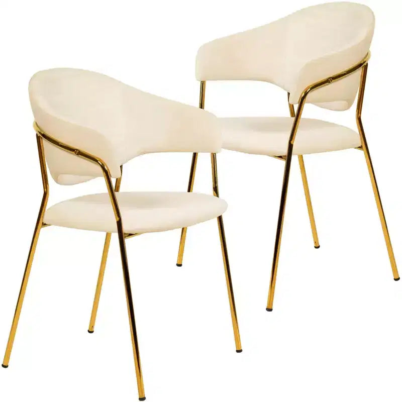 Sedia da pranzo imbottita con schienale a gobba e gambe in acciaio inossidabile – Set da 2